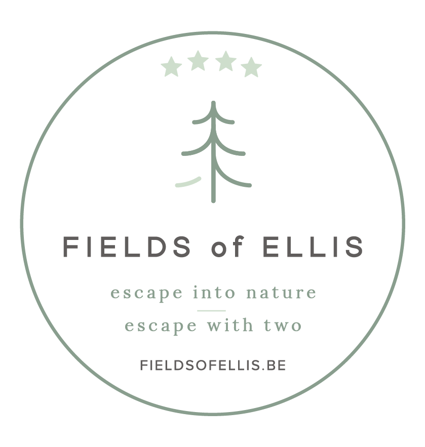 Fields of Ellis